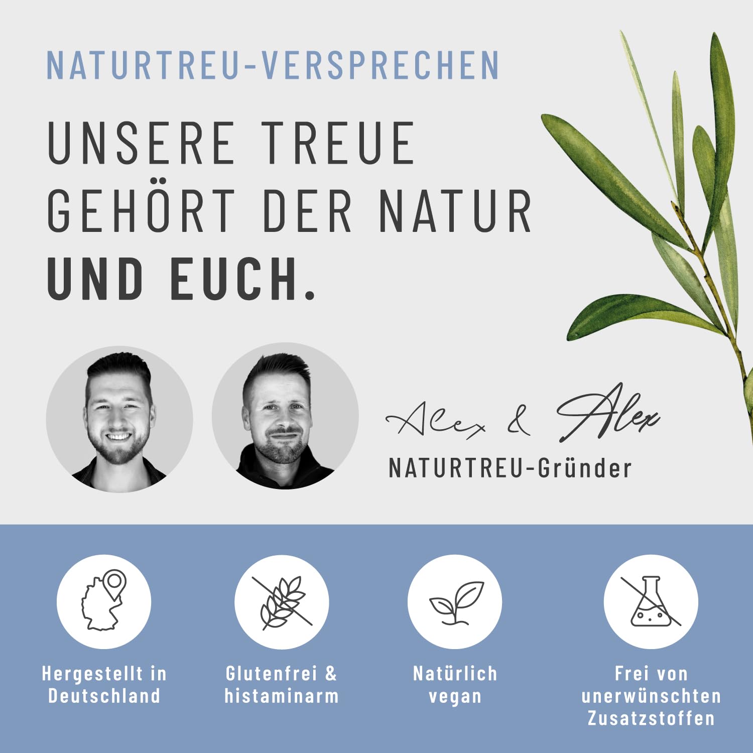 NATURTREU Lungenkraut Kapseln - Extrakt aus 3.000mg Lungenkraut pro Tagesdosis - Hochdosiert und optimal ergänzt mit Thymian, Eukalyptus, NAC & Vitamin B2 - Vegan & Laborgeprüft in Deutschland