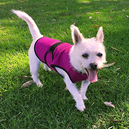 DOGZSTUFF Dog Cooling Vest, Lightweight Evaporative Summer Coat with UV Protection, Soft - Image 2