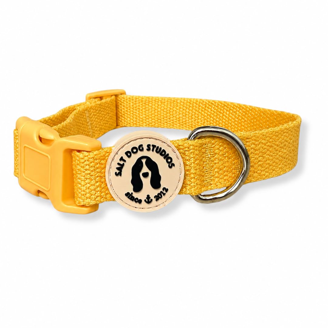 Hemp Dog Collar - Sunflower Yellow - Large - Salt Dog Studios