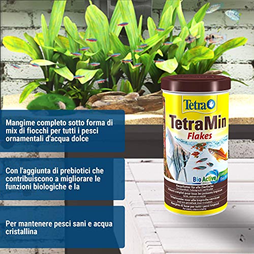 TetraMin Flakes - Mangime per pesci sotto forma di...