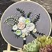 DOITEM Embroidery Kits Embroidery Kit with Pattern, 2 Pack Full Range of Stamped Embroidery Kit Including Embroidery Cloth with Pattern, Embroidery Hoop, Color Threads and Tools Kit（Floral