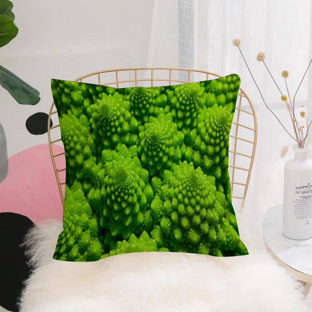 Hyosxw Romanesco Broccoli Cabbage Marco. Nature Fra - A2 Cushion Cover,Throw Pillow Case Home Decorative For Living Room Bedroom Sofa Chair 18X18 Inch,Romanesco Broccoli Cabbage Marco. Nature Fractal Surface With Spital Pattern.,Pillowcase 45X45cm