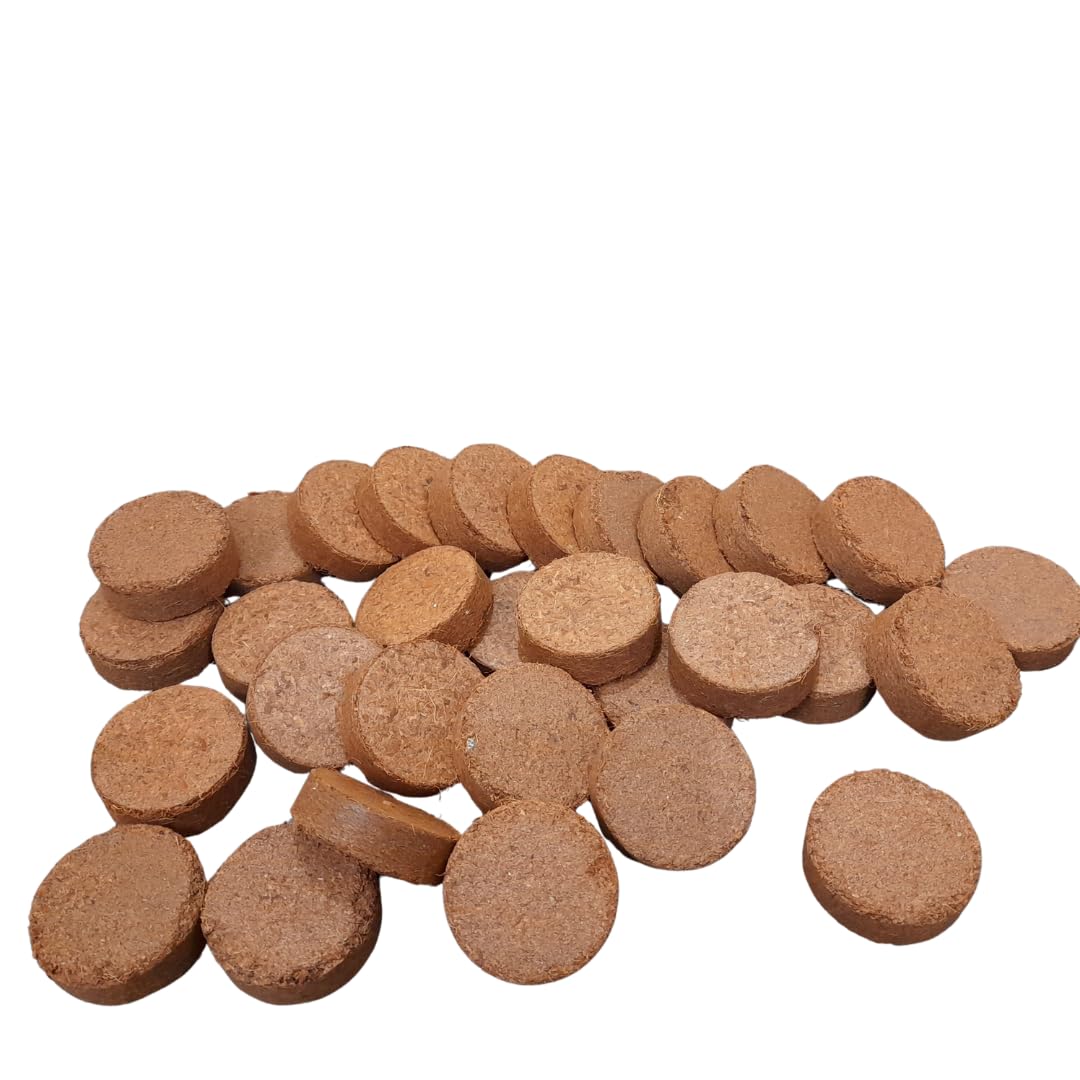 Anns DecorBay Cocopeat Coins (30 Pack) 40mm for Seed Germination & Plant Growth (B0CQVY6DTY) Amazon Price History, Amazon Price Tracker