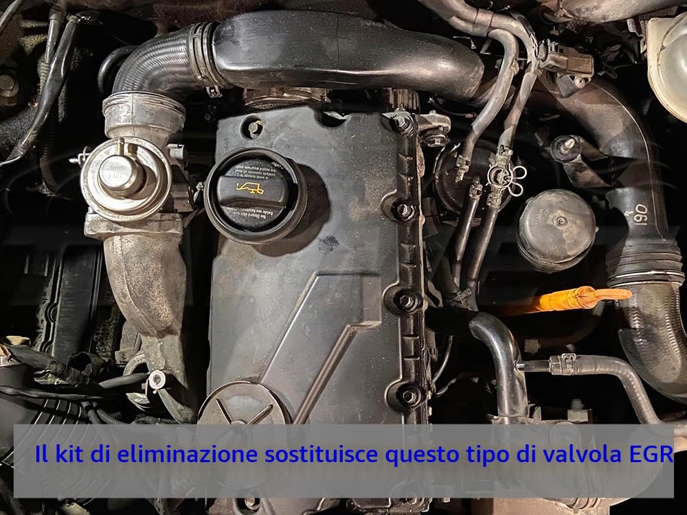 Kit tuning valvola EGR blu per VW Audi Seat Skoda con motori 1.9 TDI PD 130 150 160 HP