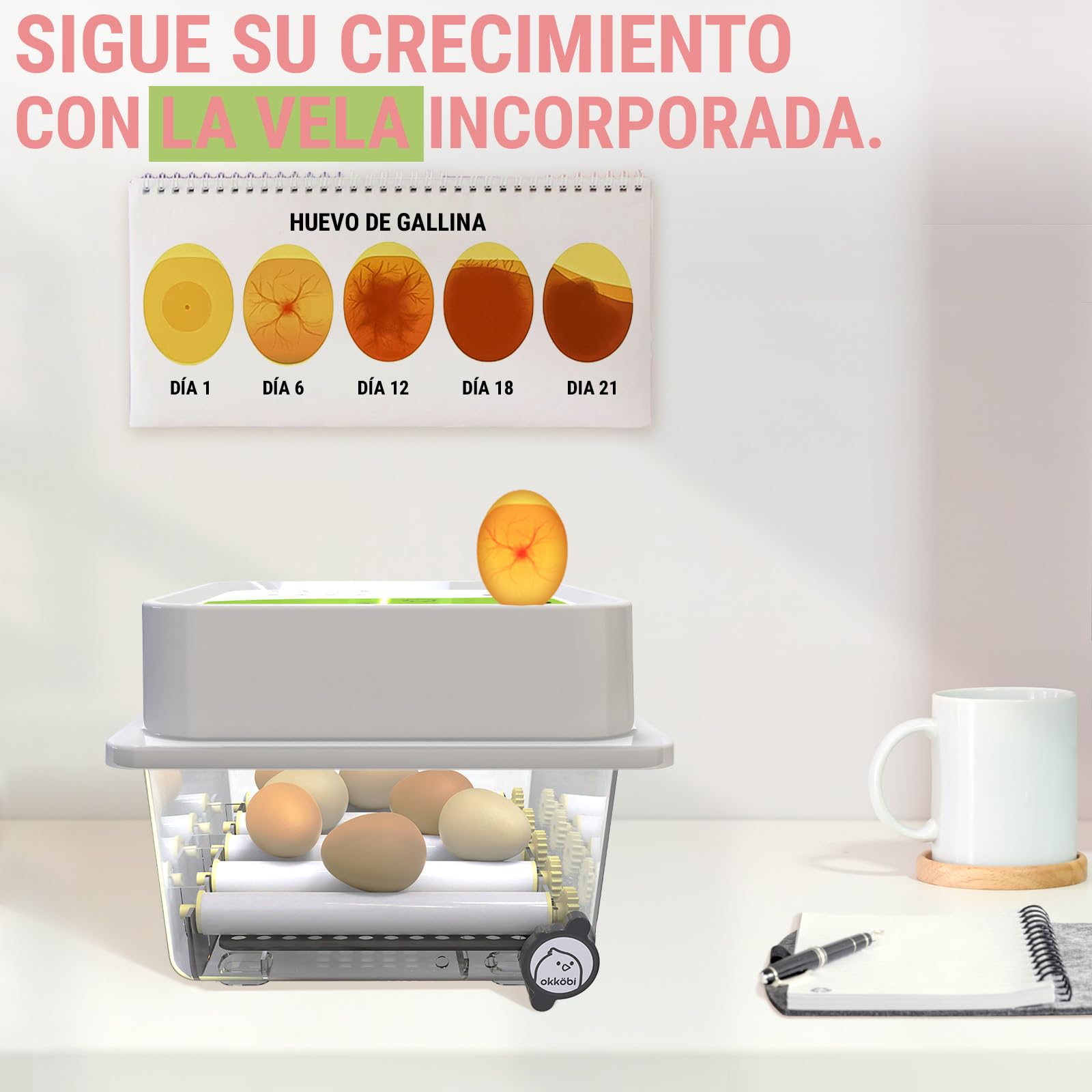 Incubadora Huevos Gallina 12 - Ideal para Todas Las Edades - Incubadoras de Huevos Automaticas - Volteo Automático y Control de Humedad -Ovoscopio Integrado - Okköbi Obi-12 - Blanco Verde