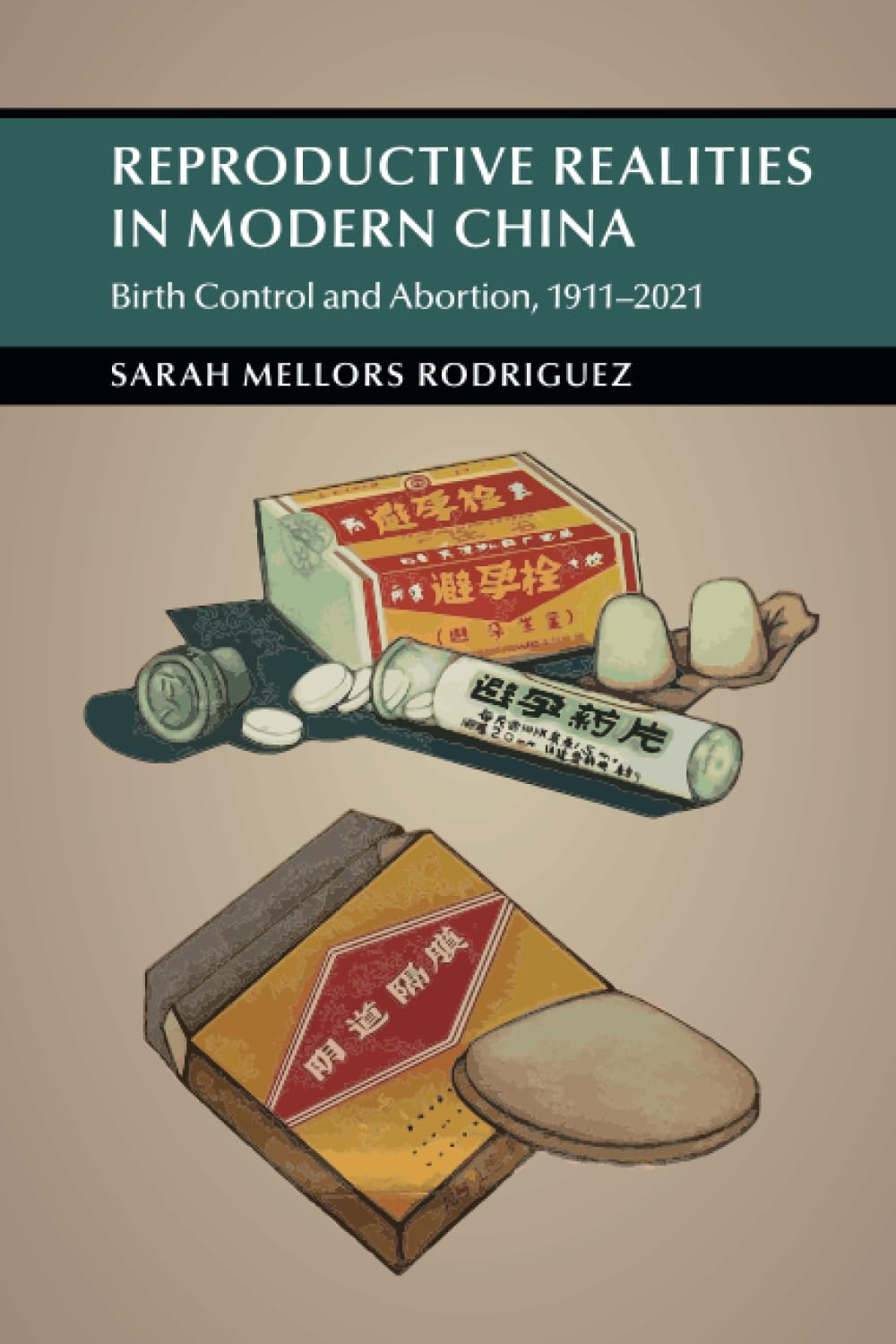Reproductive Realities in Modern China: Birth Control and Abortion, 1911–2021 (Cambridge Studies in the History of the People's Republic of China)