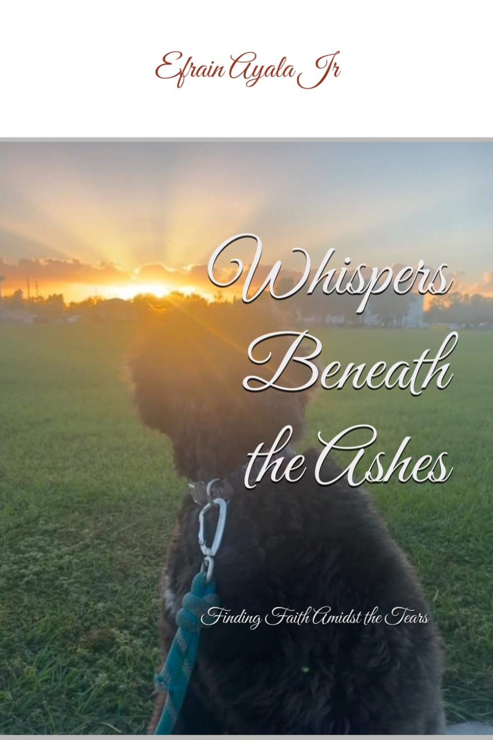 Whispers Beneath the Ashes: Finding Faith Amidst the Tears