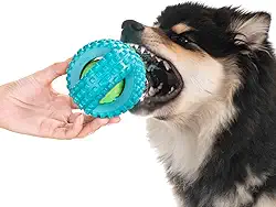 Bola Grande Pneu PVC Com Apito Brinquedo Pet Para Cachorro Cães Muito Reforçado! !