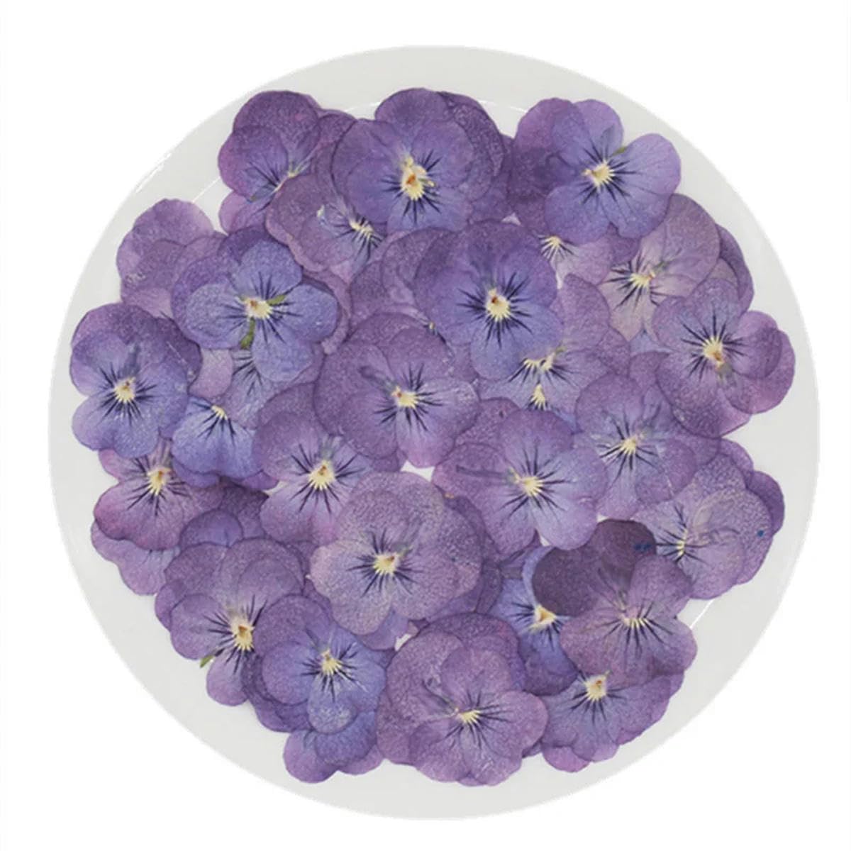 Crysdaralovebi 120 pezzi viola essiccata pressata tricolore L. piante fiori erbarium per gioielli, cartoline, segnalibri, custodie per telefono fai da te (misti