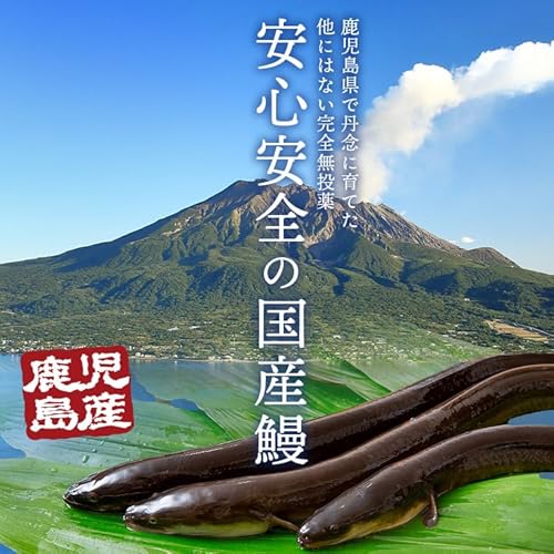 食の達人 うなぎ 鹿児島県産 2尾 ギフトBOX入 125gx2 化粧箱入 国産 蒲焼き 長焼き 無投薬 焼き上げ 無頭 2本 の商品画像 4