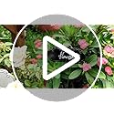 Metal Plant Labels,Tall Outdoor Garden Markers for Flower, Fruit and Vegetable, 304 Stainless Steel Weatherproof Signs (25 Packs, 4" x 1.9", Gold)