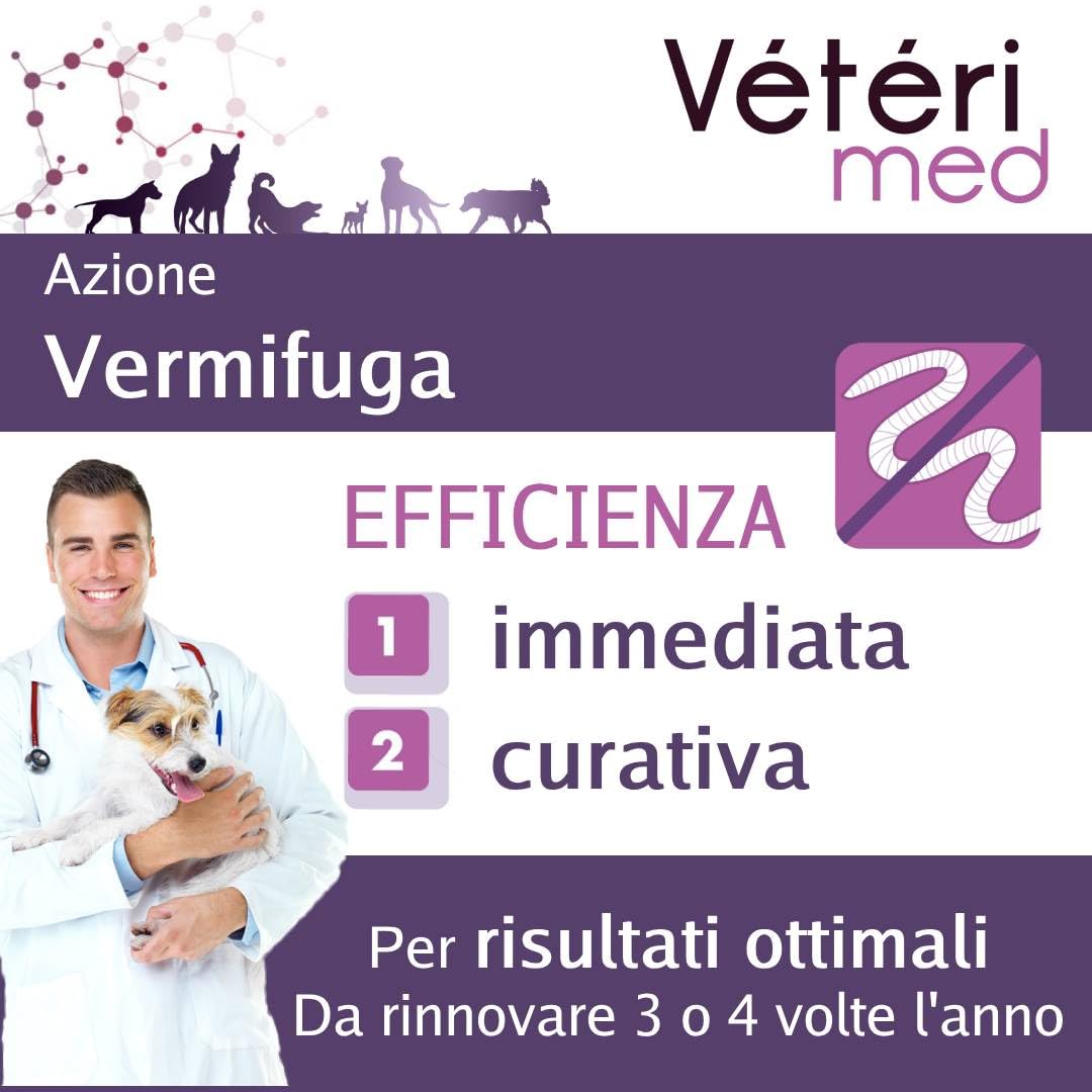 Comprimés vermifuges naturels pour l'hygiène intestinale des Chiens - Agit sur Tous Types de vers - Fabriqué en France - 30 comprimés - Version Italienne