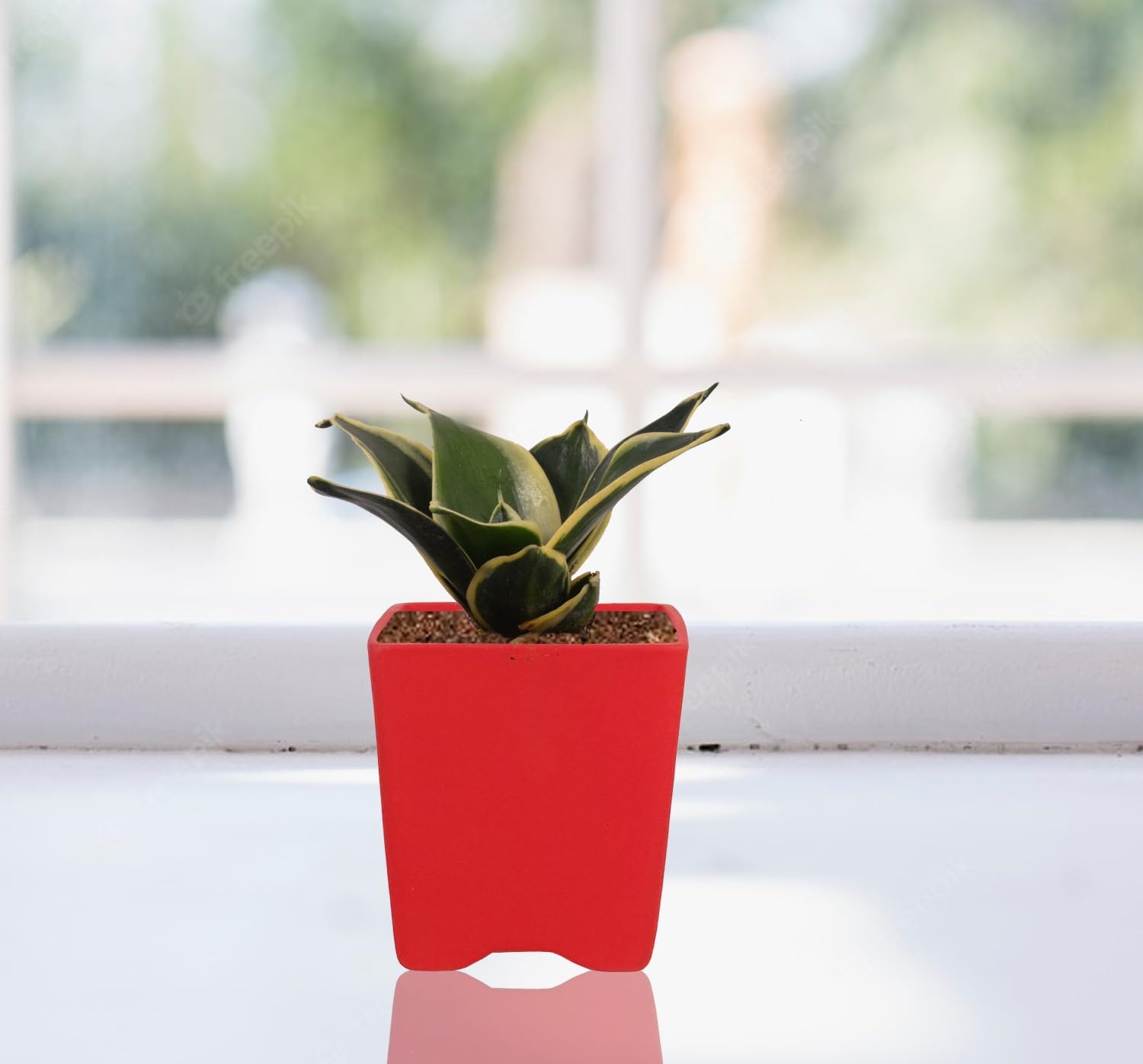 Lasaki Mini Mint Ceramic Pots - Indoor Outdoor Planters -9
