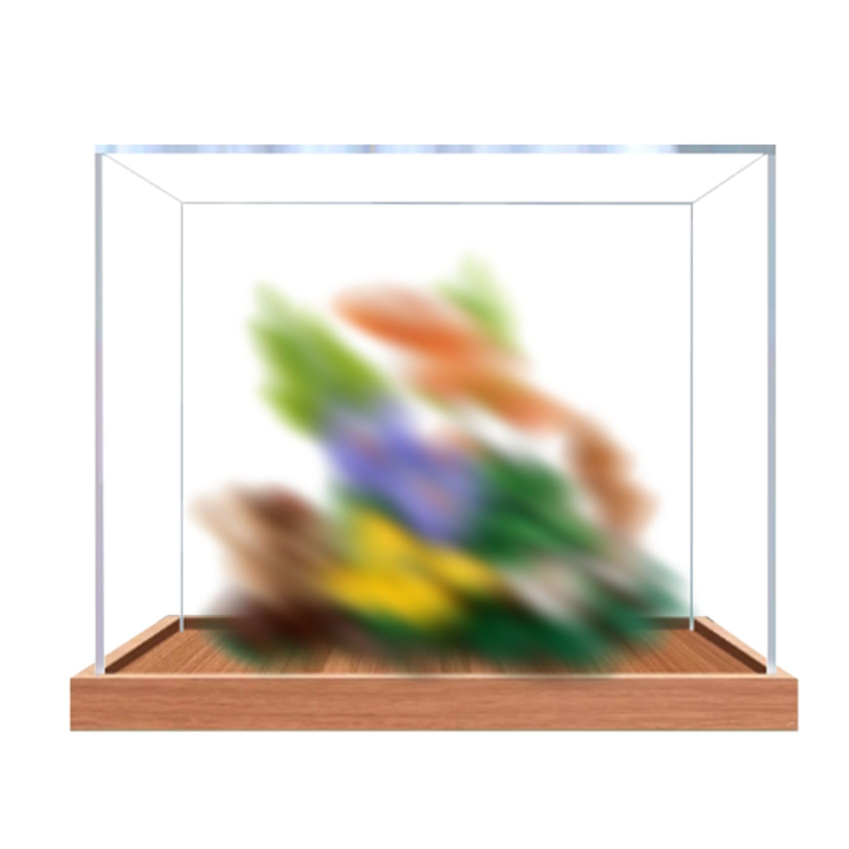 Acrylic Display Case for Le-go 11505 Mushrooms Model, Dustproof Display Box (display box only) (StyleB 2mm)