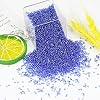 Blue Silver Lined Color 2mm Seed Beads About 9800pcs/110Grams in Bag, 12/0 Glass Craft Beads for Earring Making Bracelet and Necklace （Blue Silver Lined） #1