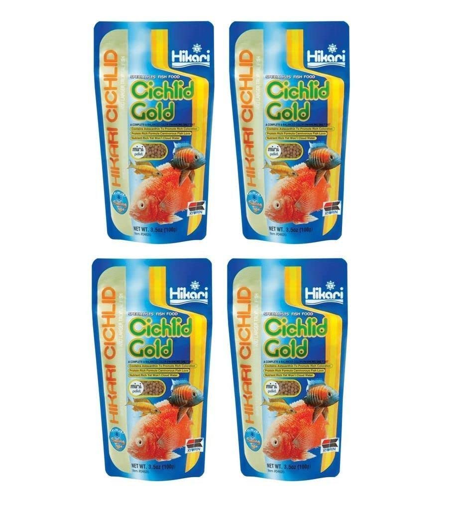 Hikari Cichlid Gold Mini