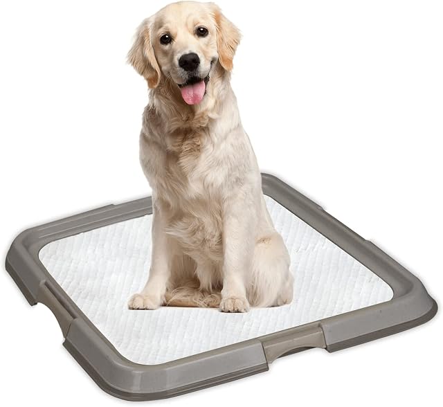 PAWISE Pet Pee Pad Holder, Dog Potty Tray, Portable Puppy Training Pad Tray,Indoor Pet Toilet Dog Litter Tray for Dogs/Cats,60*60 cm