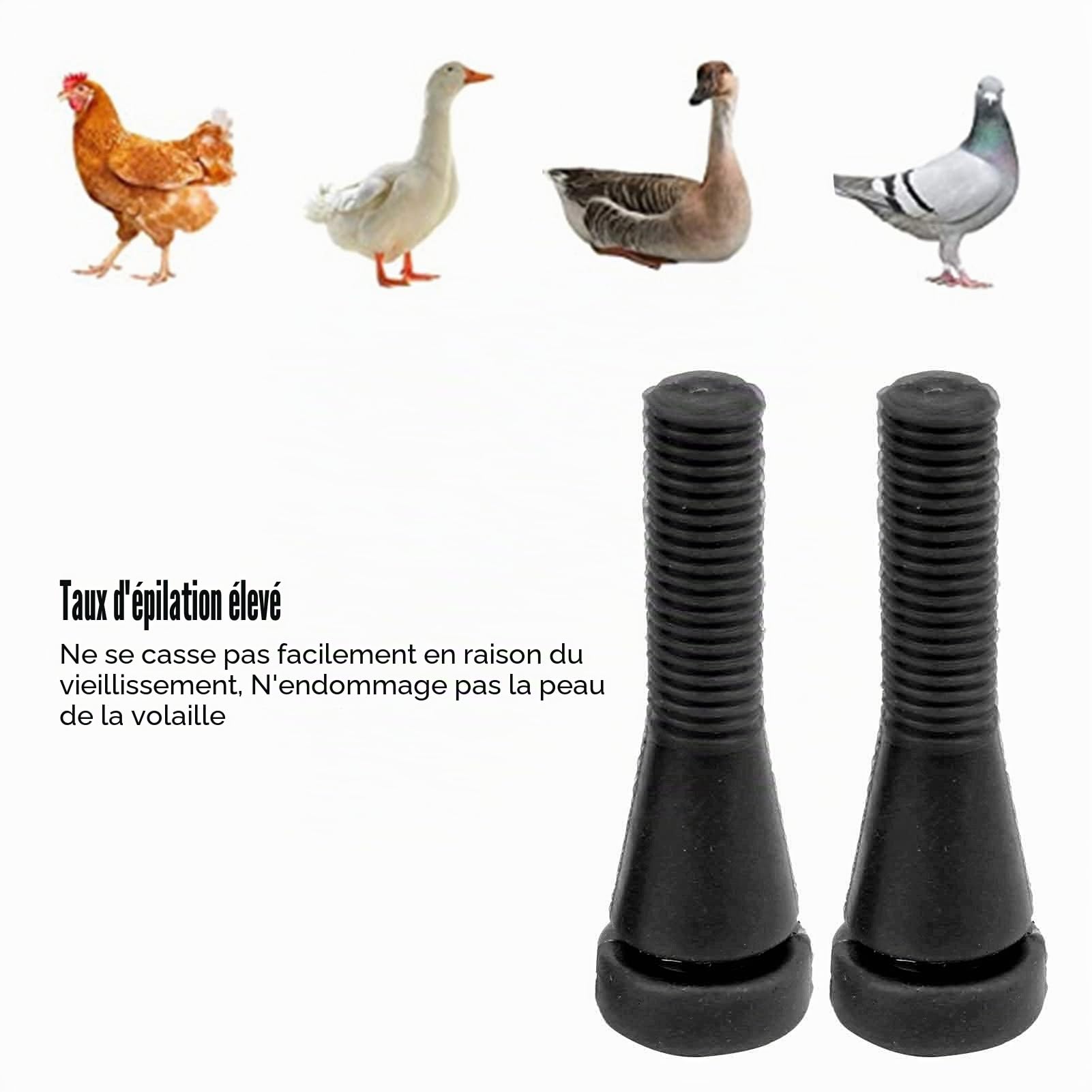 Plumeuse de Poulet, 50 pcs Doigts Doux Plumeuse pour Oie pour Canard pour Plumer la Caille(Le Noir)