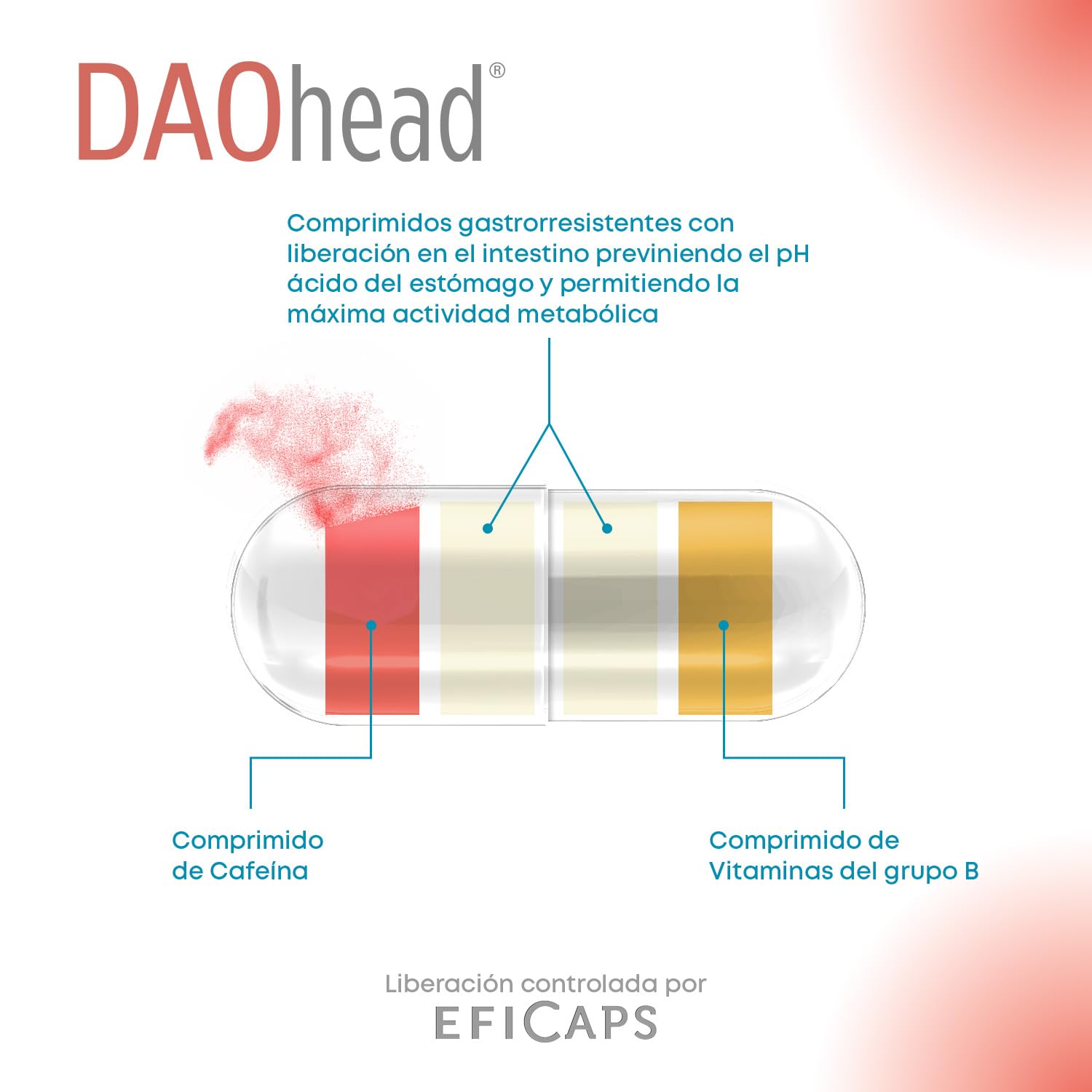DR Healthcare - DAOhead - Enzima DAO - Vitaminas B6, B9, B12 y Cafeína - Apoyo al Equilibrio de la Histamina Alimentaria - 60 Cápsulas con Mini-comprimidos Gastrorresistentes de DAO