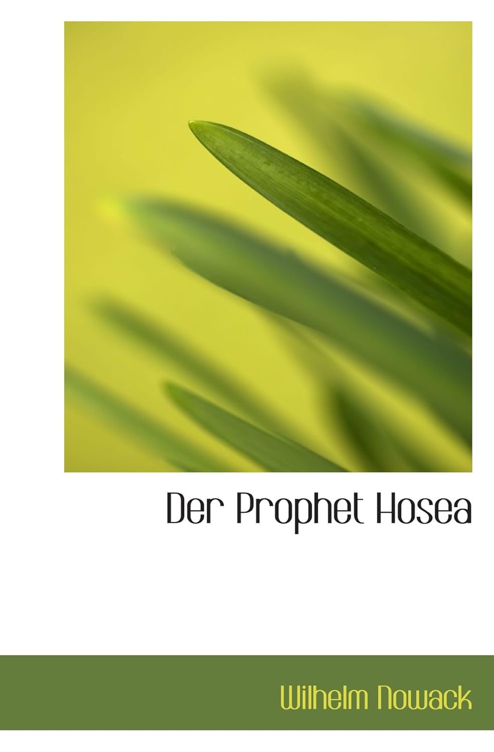 Amazon.com: Der Prophet Hosea: 9781110097463: Nowack, Wilhelm: Books