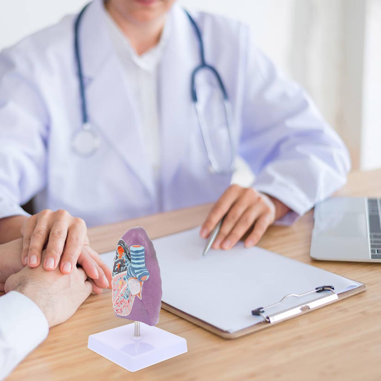 YARNOW Modèle Pulmonaire Anatomique Réaliste en Plastique pour Enseignement de L'anatomie et Physiologie, Matériel Éducatif pour Étudiants en Sciences Médicales
