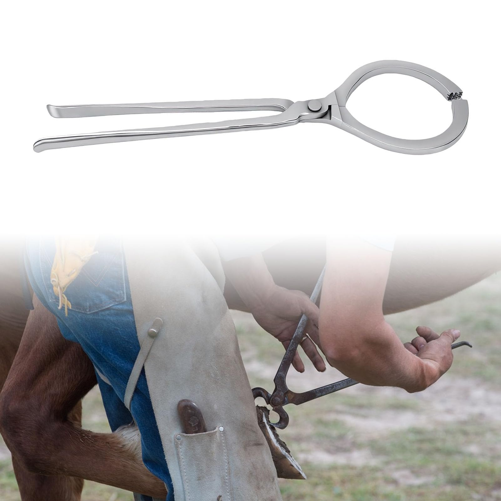 banapoy Tester Kopyt, Narzędzie dla Koni ze Stali o Wysokiej Twardości 48,5 Cm | Konstrukcja stalowa, zastosowanie w stajni dla koni, kompatybilność z tarnikami i ostrzami, kompaktowy przenośny uchwyt