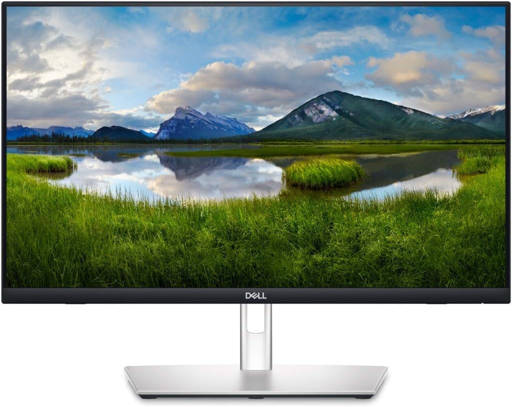 Dell P2424HT 24 inch touchscreen monitor with ergonomic stand
