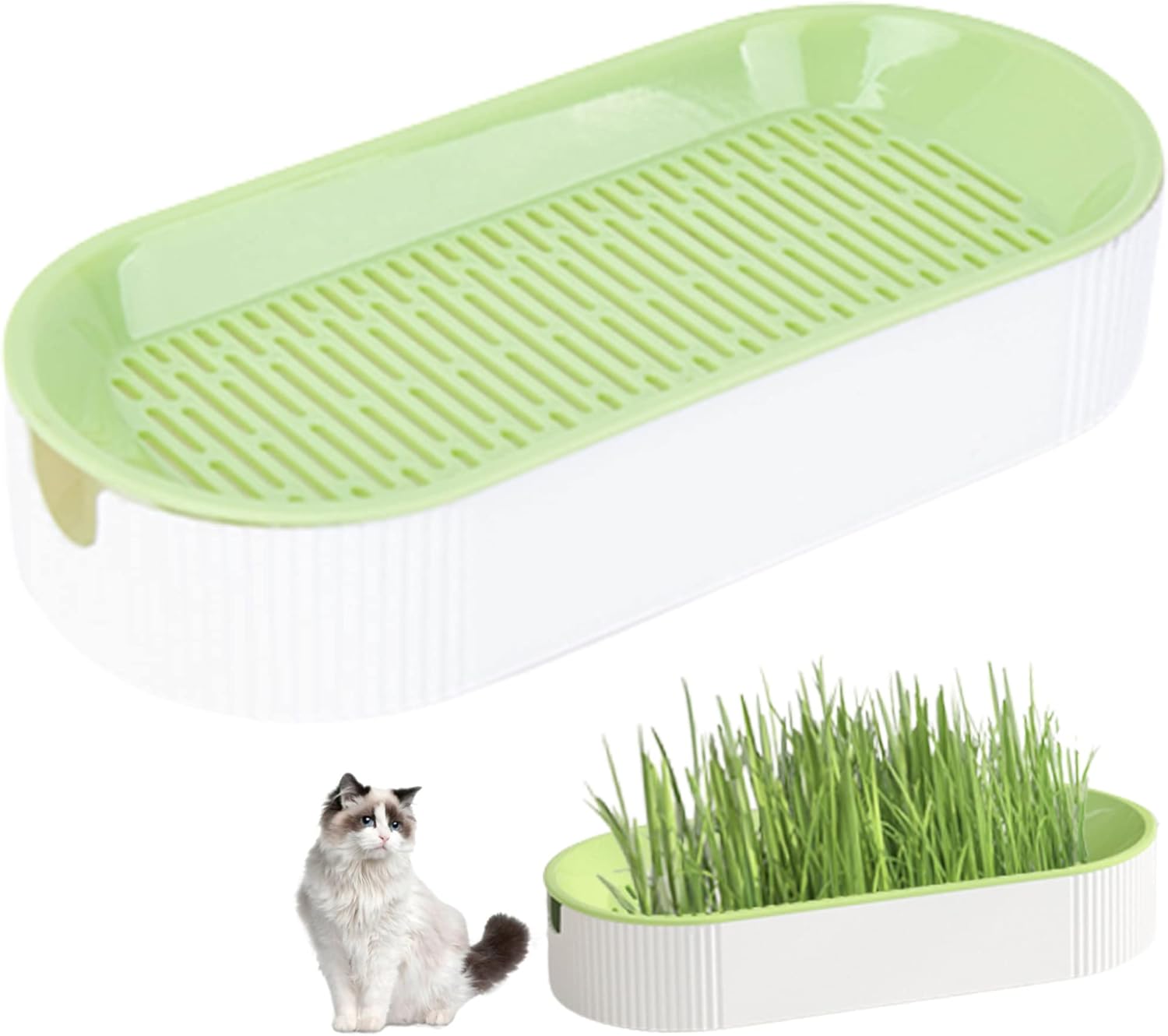Cat Grass Planter,Cat Grass for Indoor Cats Planter