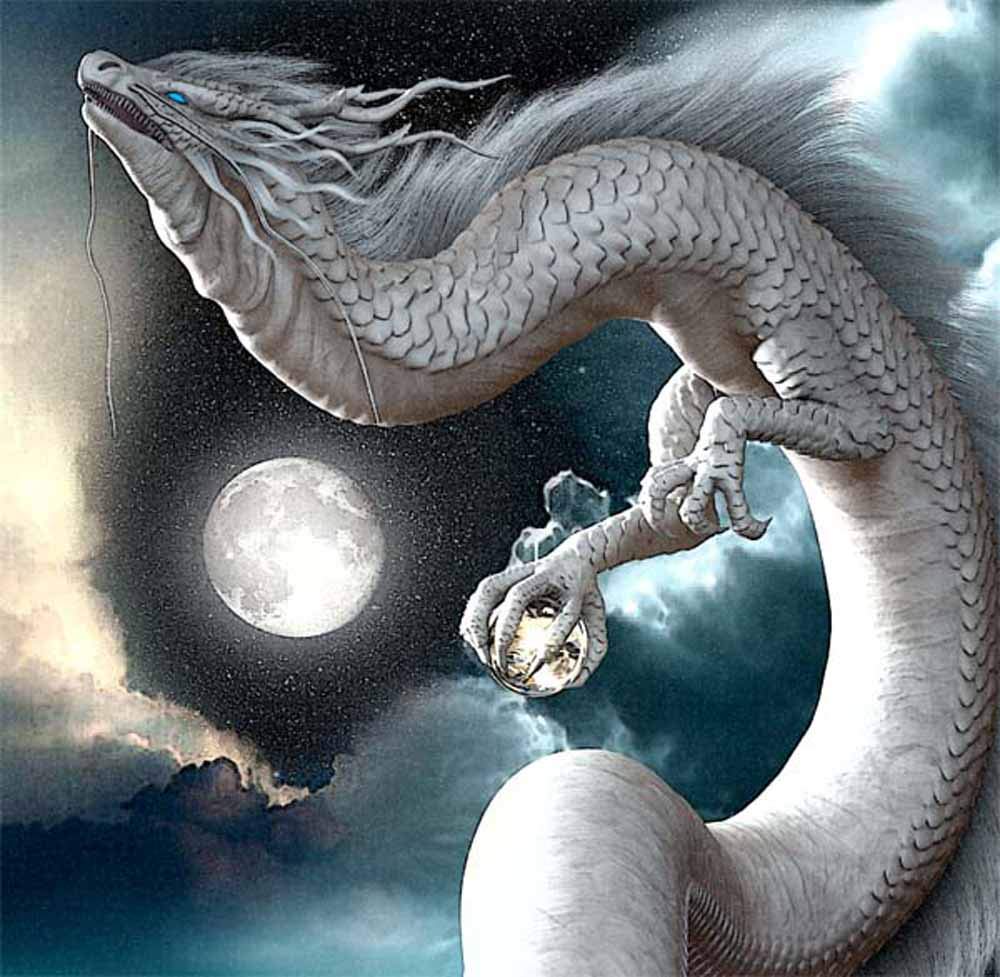 龍の絵。 Amazon.co.jp: 龍の絵 「水龍2」 A4 竜の絵 : ホーム＆キッチン