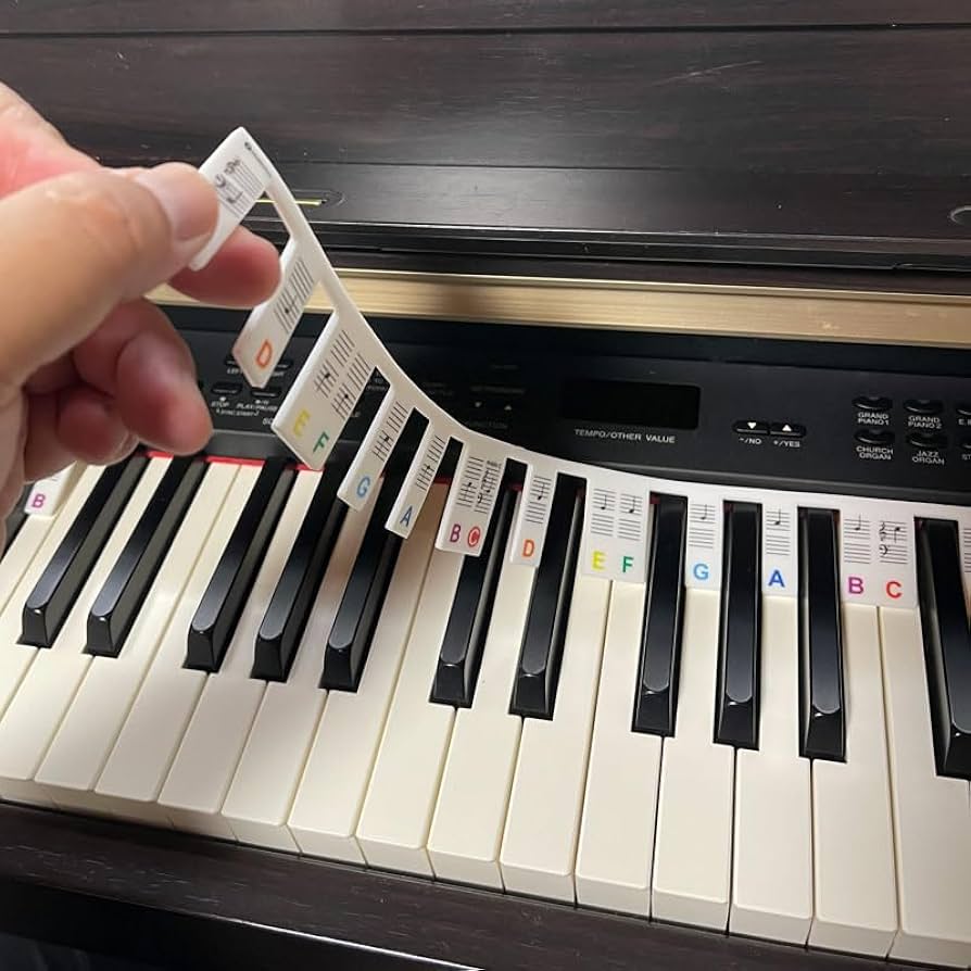 鍵盤楽器 透明音階シールセット ピアノ キーボード 鍵盤ハーモニカ 練習 楽天市場】ピアノ鍵盤シール キーボード カラー 日本語 ひらがな