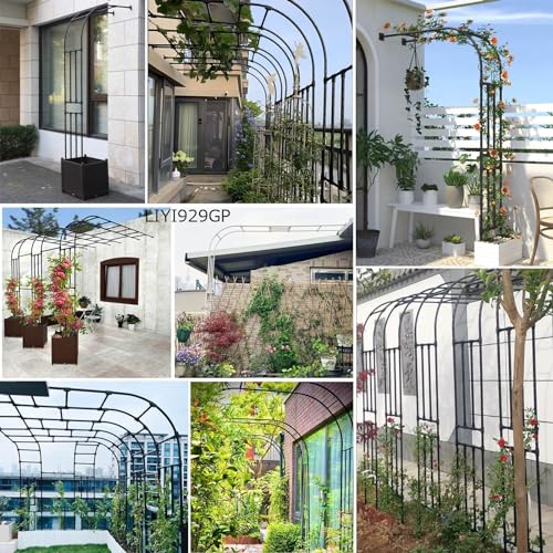 Support pour plantes arche demi-mur extérieur jardin intérieur