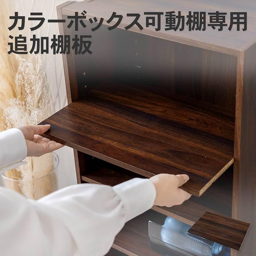 Amazon｜コーナンオリジナル LIFELEX カラーボックス 追加棚板 可動棚