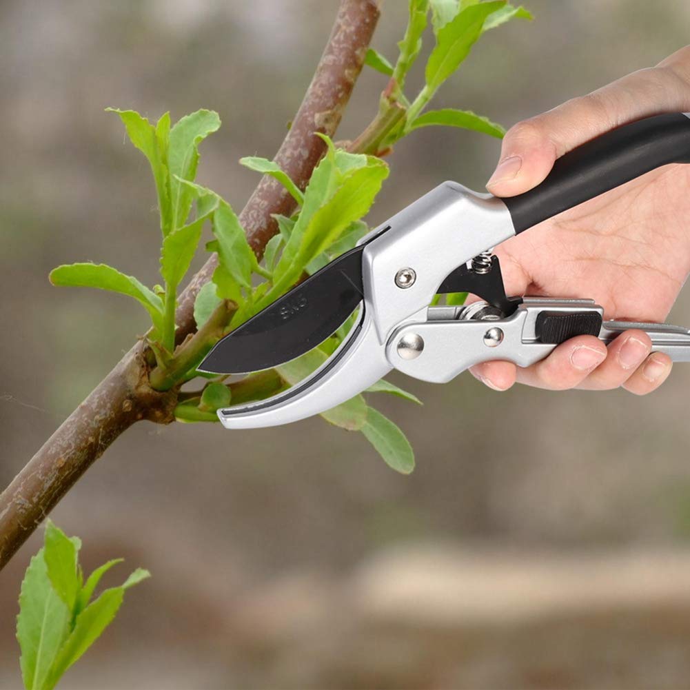 Kit di Utensili per potatura e innesto da Giardino, Set di Utensili da Giardino in Acciaio SK-5 ad Alta durezza, Forbici da potatura [20,1x6,2 cm/7,9'' x 2,4'']