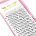 Premade Fans Eyelash Extensions 3D-D-0.10-12 Short Stem Premade Volume Eyelash Extensions 3D 5D 7D Volume Lash Extensions 9 to 20 mm Pre made Lash Fans C D Curl .07 .10(3D-D-0.10,12mm)