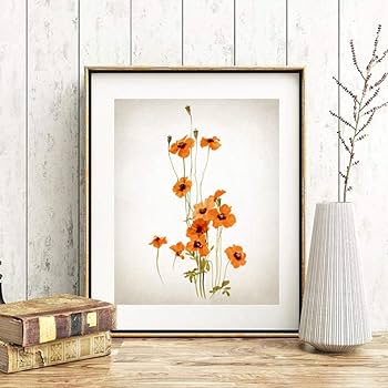 絵画　インテリア　絵　油絵　uF6-112002　花（ポピー） 絵画 インテリア 絵 油絵 uF6-112002 花（ポピー） 絵画