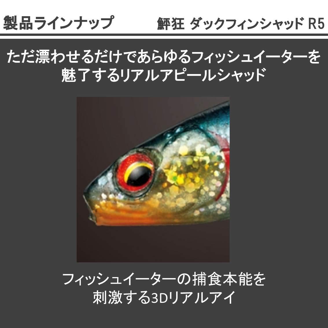 ダイワ ダックフィンシャッドR セット