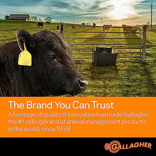 Livestock monitoring system