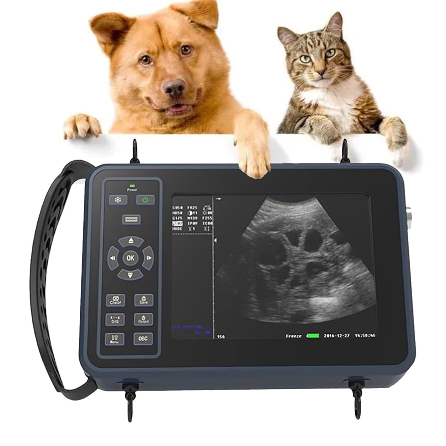 Amazon.co.jp: 犬の妊娠検査用超音波スキャナー、獣医用 5.6