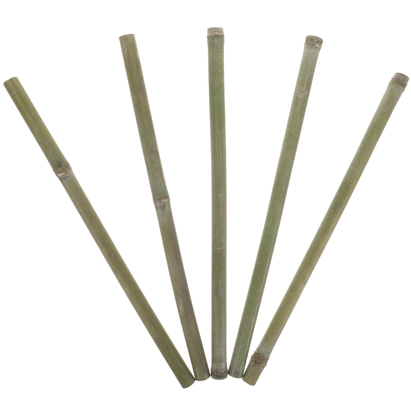 Jardinage sans casse avec le lot de 5 piquets de bambou robustes