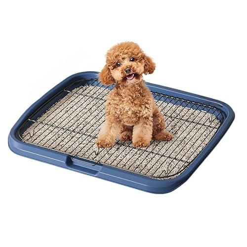 Sailozai 犬用トイレトレー、幅広、大型犬、中型犬に最適、ペット用トイレボックス、ステンレススチール、尿滴り防止、ペットの足をドライに保ち、床を保護し、お手入れ簡単、洗える (ブルー,L)