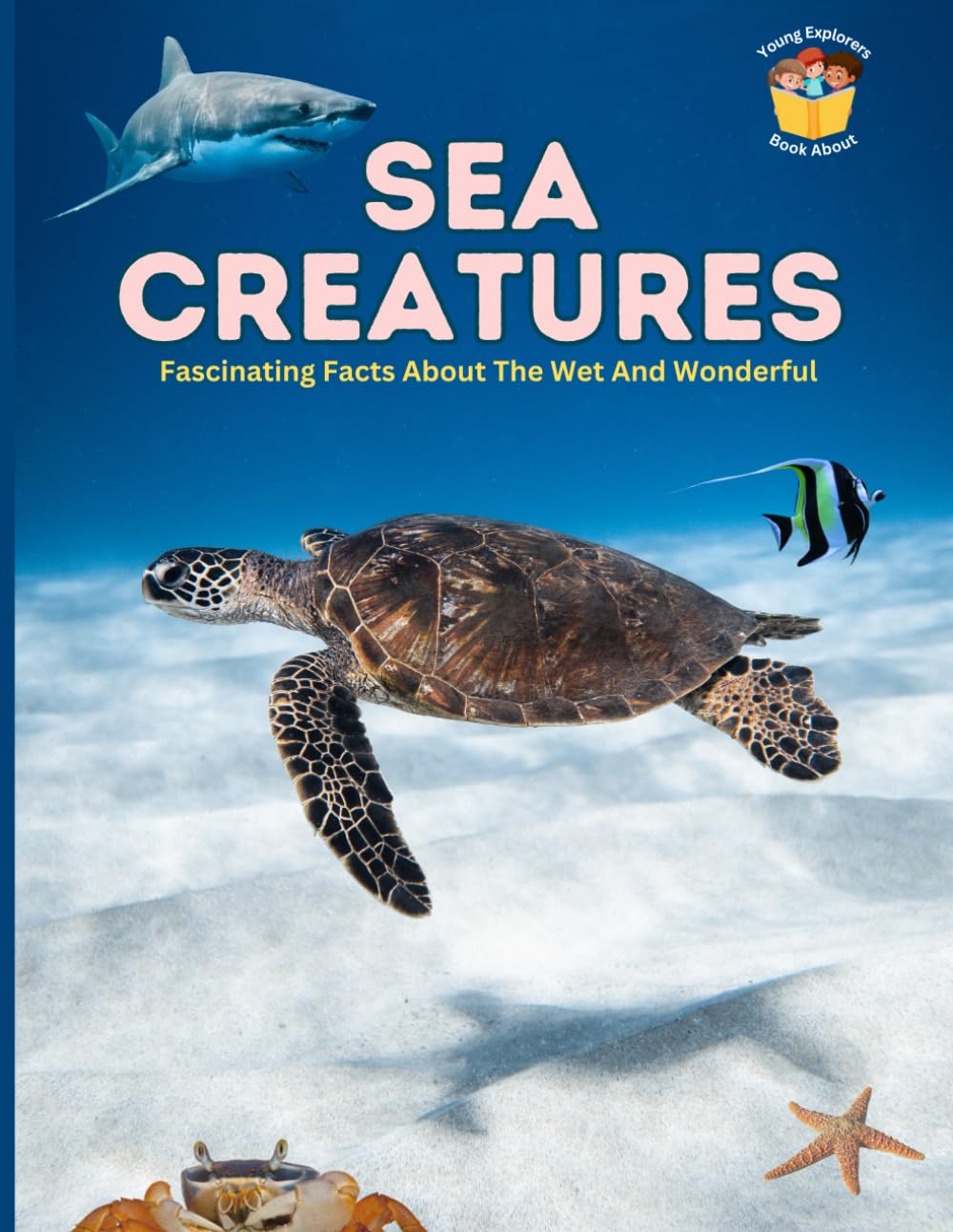 Sea Creatures: Fascinating Facts About The Wet And Wonderful