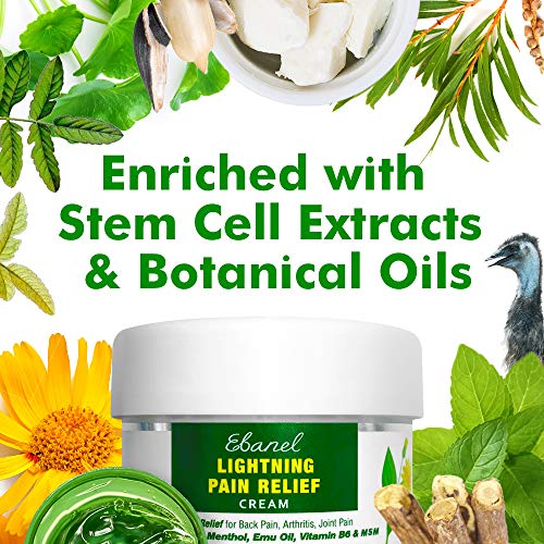 Ebanel Menthol Arnica Gel Pain Relief Cream with Hemp Oil, Emu Oil, MSM
