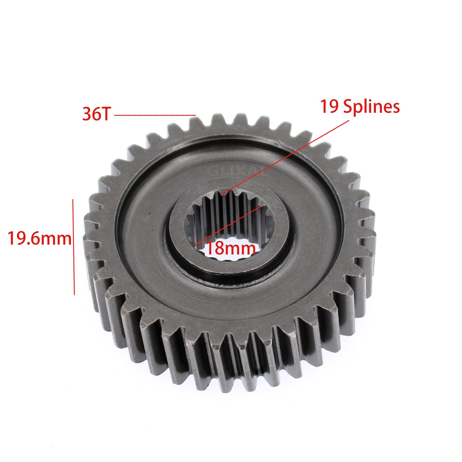 Amazon.com: Glixal High Performance GY6 150cc 180cc 200cc