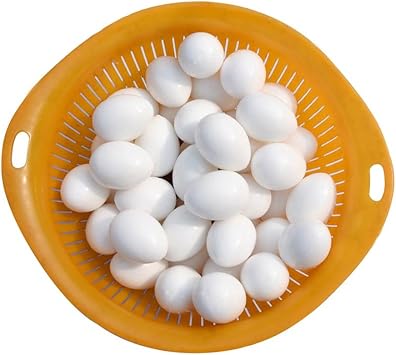 5 Pcs Parrots Eggs White Hatching Eggs for Green Cheek for Cockatiel Toy for Small for Large Birds Conure Macaw Christmas Parts Set Large Shoulder Paper for and Accessories