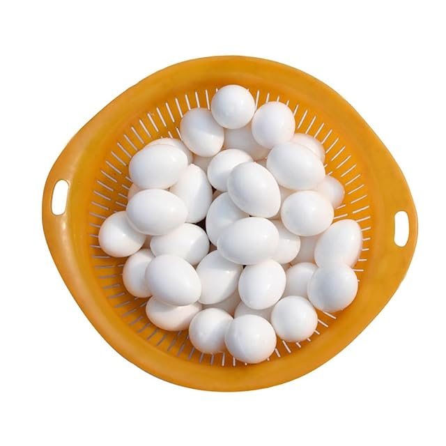 Foto 8 de 8 de 5 Huevos Artificiales para Loro, Huevos de Loro, Huevos Falsos para Incubar, para Loros