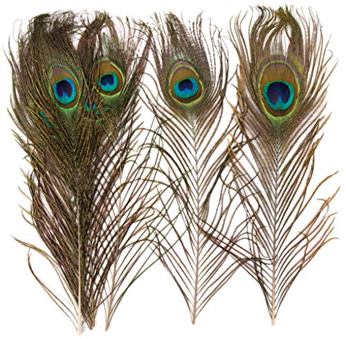Baker Ross- Plumas Naturales de Pavo Real (Pack de 10) para manualidaes...