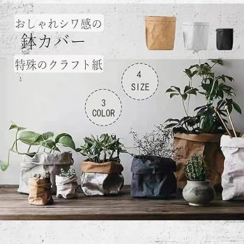 61-bT4cgX7L._AC_UF350,