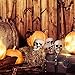 8 Pieces Halloween Skulls Realistic Looking Skulls Human Skeleton Head Skull for Halloween Bar Home Table Decoration (2.0 x 2.4 x 3.1 Inches)