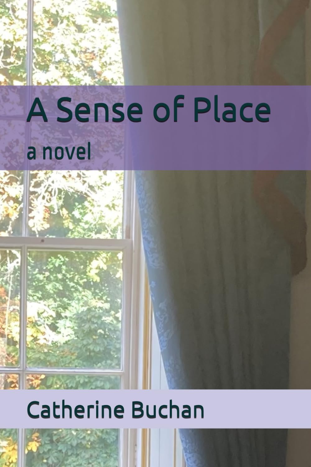 A Sense of Place: a novel