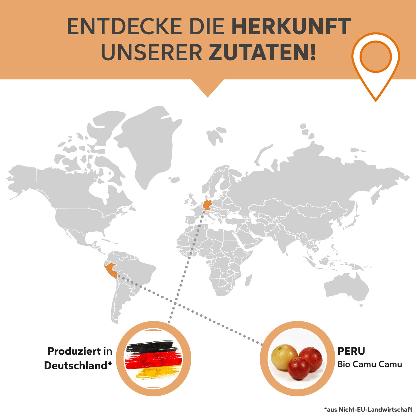 Bio Camu Camu Pulver 1kg hochdosiert mit natürlichem Vitamin C aus Brasilien | 100% ohne Zusatzstoffe in Rohkost-Qualität